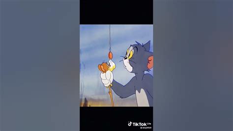 Tom always falling into Jerry's traps 😄#Tom#Jerry#foreverenemies - YouTube