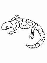 Simple Gecko Coloring Page sketch template