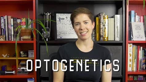 What Are Optogenetics?