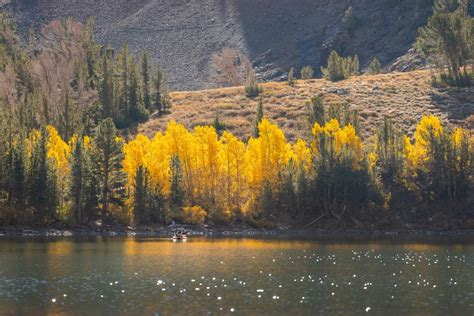 Fall colors peak at Mammoth Lakes | FOX 5 San Diego & KUSI News