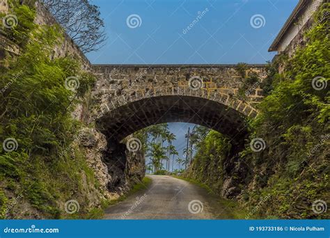 A Buttress Bridge in the Highlands on the Atlantic Coast of Barbados Stock Photo - Image of ...