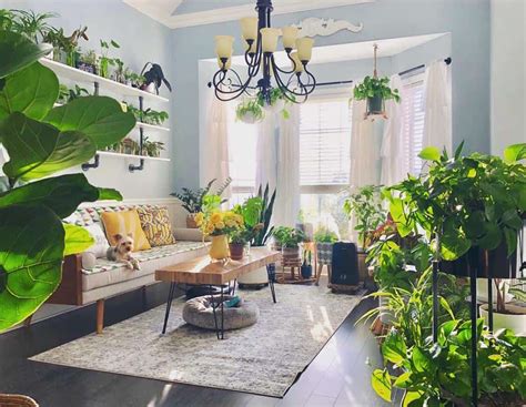 How To Decorate A Sunroom With Plants | Shelly Lighting