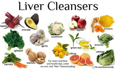 Liver Cleansing Foods | Healthy liver, Healthy detox, Liver detox