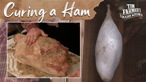 Awesome Info About How To Cure Ham And Bacon - Feeloperation