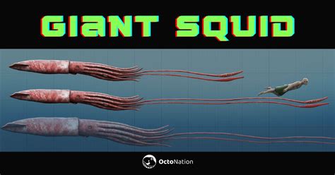 How The Giant Squid Uses Tentacles For Hunting - OctoNation - The ...