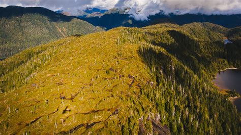 Tongass National Forest Plan Threatens Wildlife, Economy, and More | The Pew Charitable Trusts