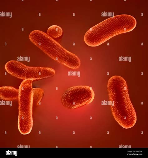 microscopic bacteria. Legionella pneumophila illustration Stock Photo - Alamy