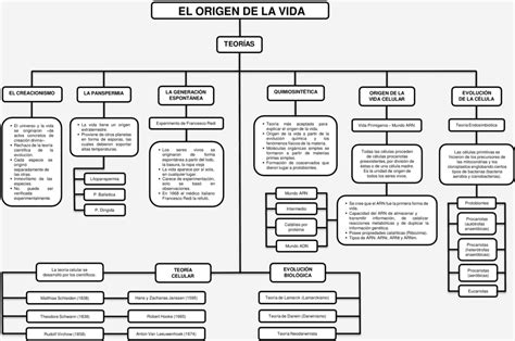 Mapa Conceptual Sobre El Origen De La Vida En La Tier - vrogue.co