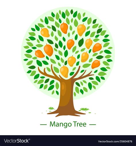 Mango tree in flat design Royalty Free Vector Image