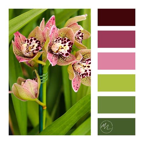 Colour Palette – Orchid Brand Color Palette, Brand Colors, Color ...