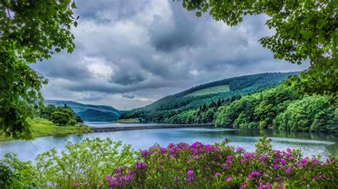 Lake in Spring - Image Abyss