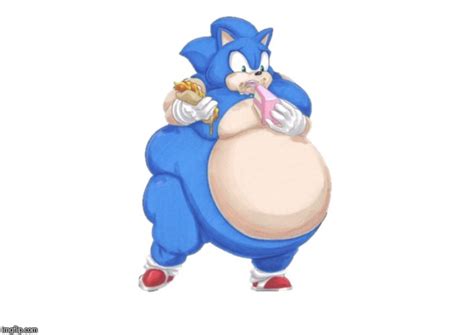 Fat Sonic The Hedgehog Gif