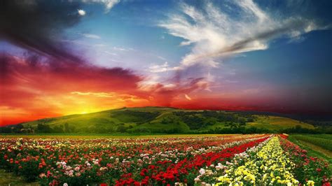 Flower Garden Backgrounds - Wallpaper Cave