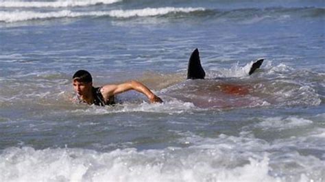 New Jersey Shark Attacks of 1916 - HubPages