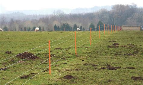 Electric Fence Wire Winder - Sheep in Fence - Electric Fence Wire Winder