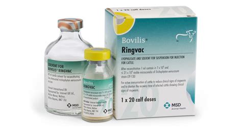 Ringworm vaccine available in bigger size | Vet Times