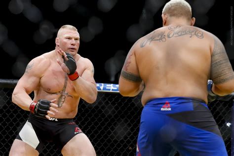 Brock Lesnar’s legacy in MMA teeters on the fine line between fact and ...