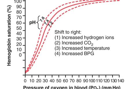 Oxygen hemoglobin dissociation curve - All medical stuff