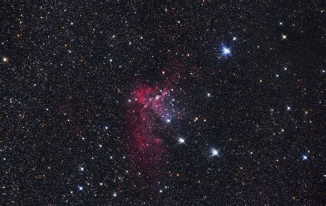 Wizard Nebula - Sky & Telescope - Sky & Telescope