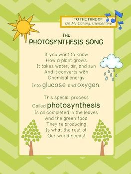 Photosynthesis Song! by Primary Produce for Your Classroom | TPT