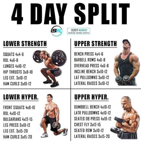 3 Day Split Workout: Your Way To Massive Gains! - Shredded Lifestyle | Bodybuilding workout plan ...