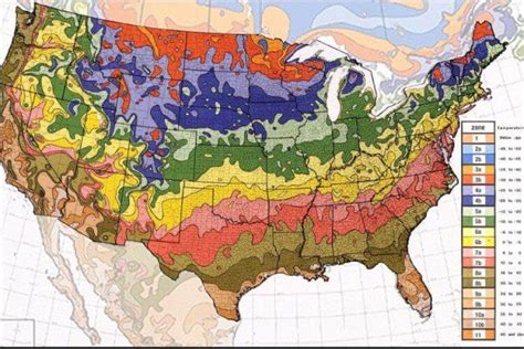 usda-hardiness-zones-map | Everything Backyard