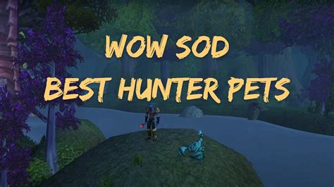 WoW SoD Best Hunter Pets for Leveling, Raid, PvP in Season of Discovery Phase 1