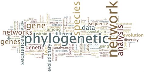 [DIAGRAM] Microsoft Word Diagram - MYDIAGRAM.ONLINE