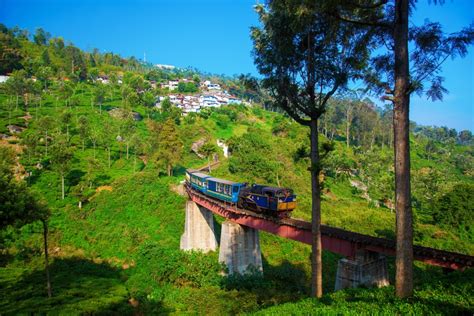 Nilgiri Mountain Railway: A Complete Guide