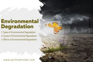 Environmental Degradation: Causes, Effects and Types | Earth Reminder