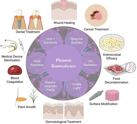 Biomedical applications of cold atmospheric plasma. | Download ...