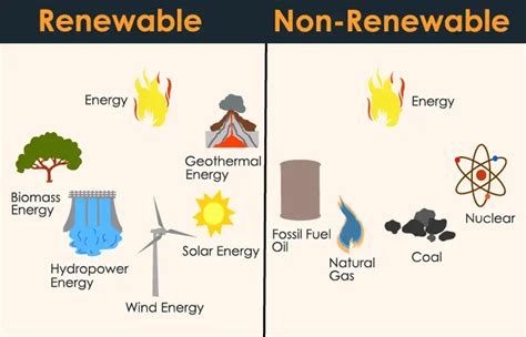 examples of renewable resources - 24 Hours Of Biology