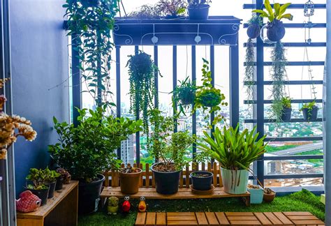 Top Benefits of Urban Gardening - Everything Handmade