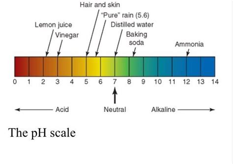 The importance of ph hair and hair products – Artofit