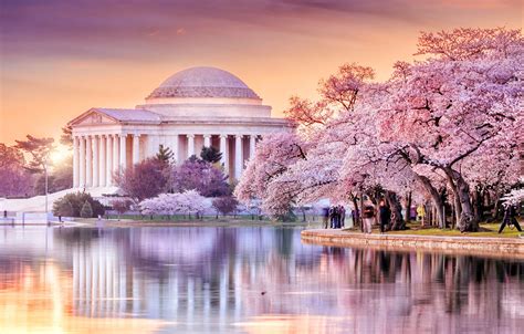 Thomas Jefferson, Jefferson Memorial, Washington Dc, Cherry Blossom ...