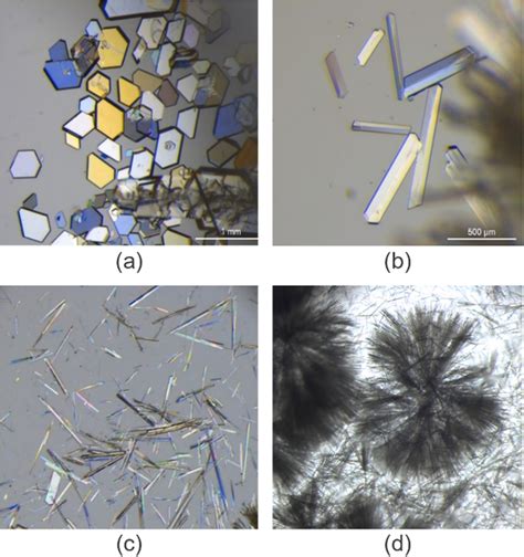 Examples of crystal shapes (a) plates, (b) elongated plates, (c)... | Download Scientific Diagram