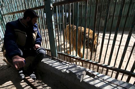 Gaza zoo owner can’t feed his starving animals so he’s selling them