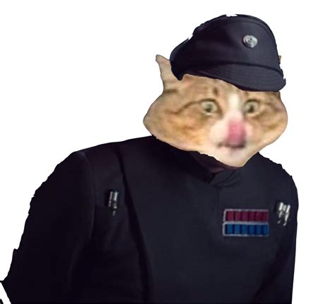 Imperial Cat Blank Template - Imgflip