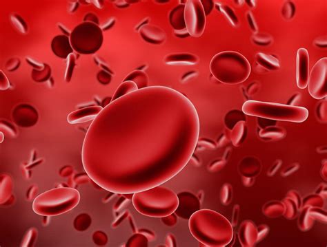 What is Aplastic Anemia? (with pictures)