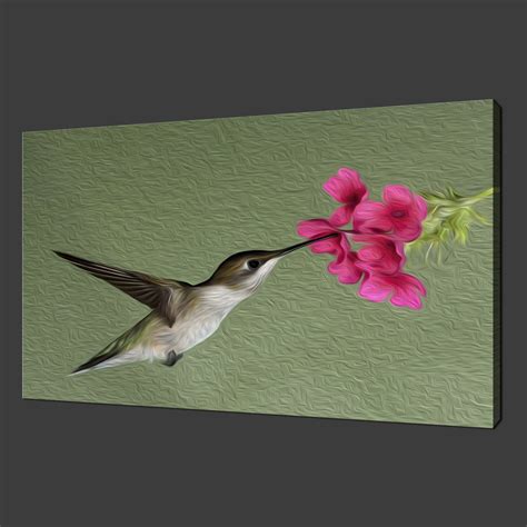 HUMMINGBIRD PAINTING STYLE CANVAS WALL ART PICTURES PRINTS FREE UK P&P ...