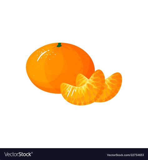 Cartoon fresh tangerine or mandarin orange fruit Vector Image