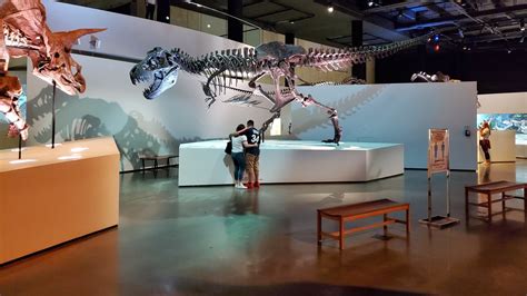 Houston Museum Of Natural Science General Admission | 365 Things to do ...