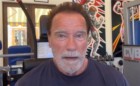 Schwarzenegger, 77, was detained by airport customs for hours and could face criminal charges ...