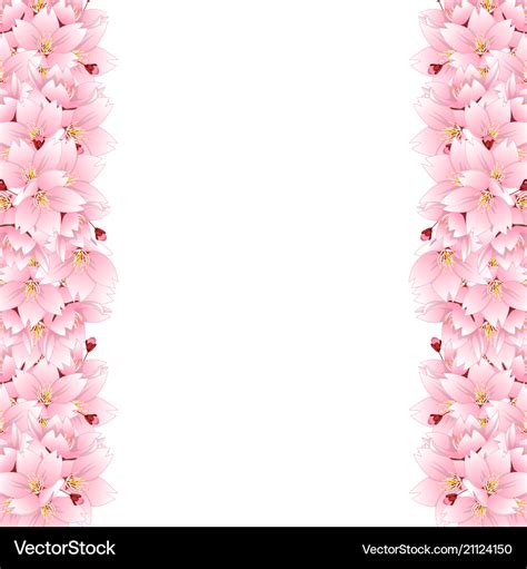 Sakura cherry blossom flower border Royalty Free Vector