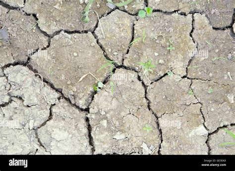 Texture of dirt and soil Stock Photo - Alamy