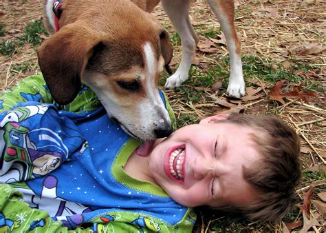 4 Possible Reasons Your Dog Always Licks Your Face