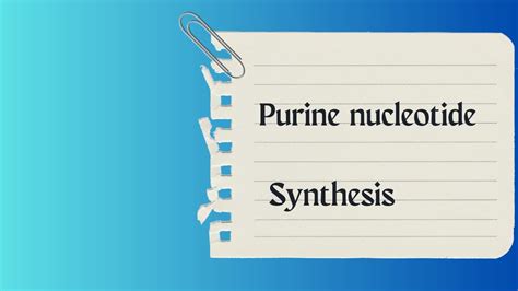 496 IMP synthesis ,purine synthesis inhibitors(sulfonamide ...