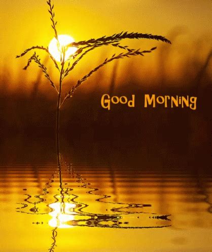 Good Morning Sunrise GIF - GoodMorning Sunrise WaterRipple - Discover & Share GIFs