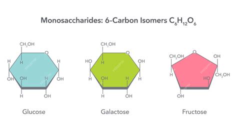 Glucose Vs Galactose Structure