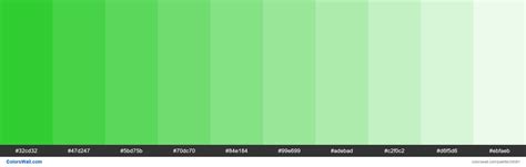 Tints of Lime Green #32CD32 hex color - ColorsWall